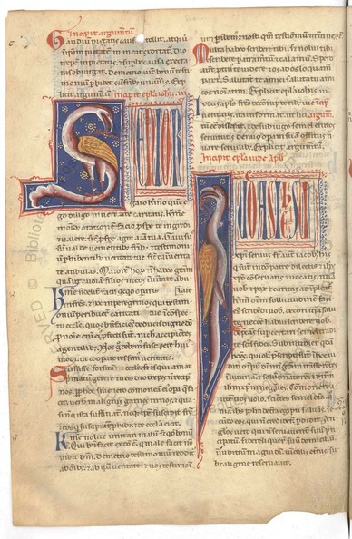A page of 13th C bible, Barb.lat.524 f.74v.  Two columns of gothic text, each has a large title with a large inital letter inhabited by a bird